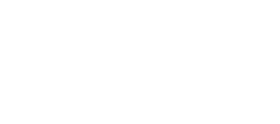 The Big L Burger